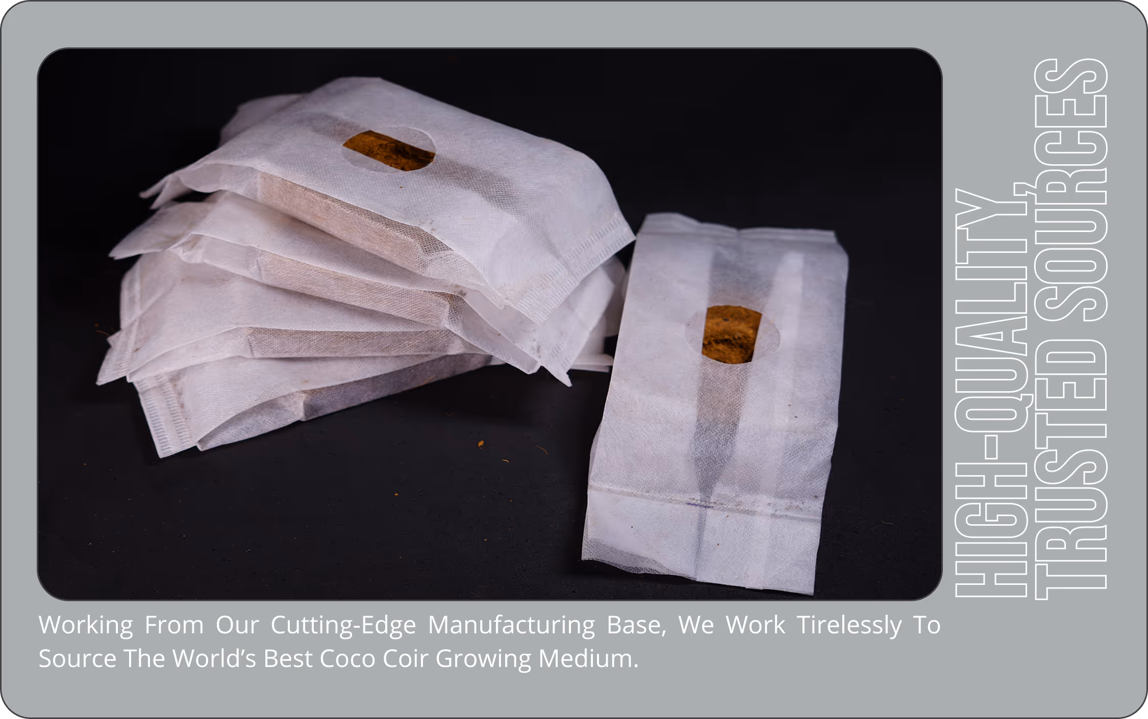 Premium coco coir growing medium sourced from trusted global suppliers for high-quality horticulture and agriculture