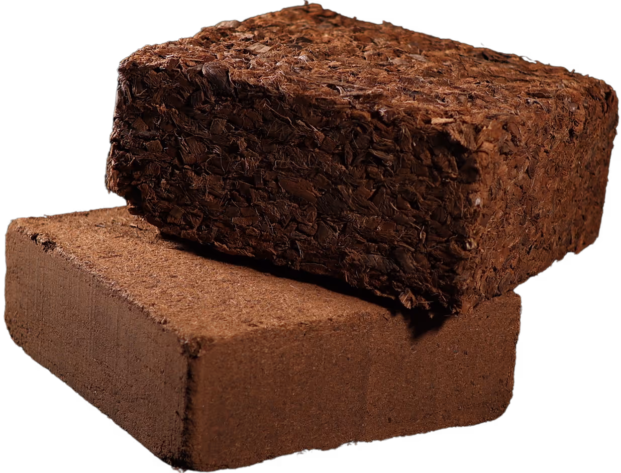 rephrase the following content as Alt Text for an image to optimize SEO , emphasize certain aspects like different eco friendly substrate alternatives,B2B ,or Horticulture and green house cultivation , Coco coir , create a proper image heading as well : " image emphasizing an image which shows a 5Kg Coco chips block and coco peat block used as a growth medium for ecofriendly solutions"