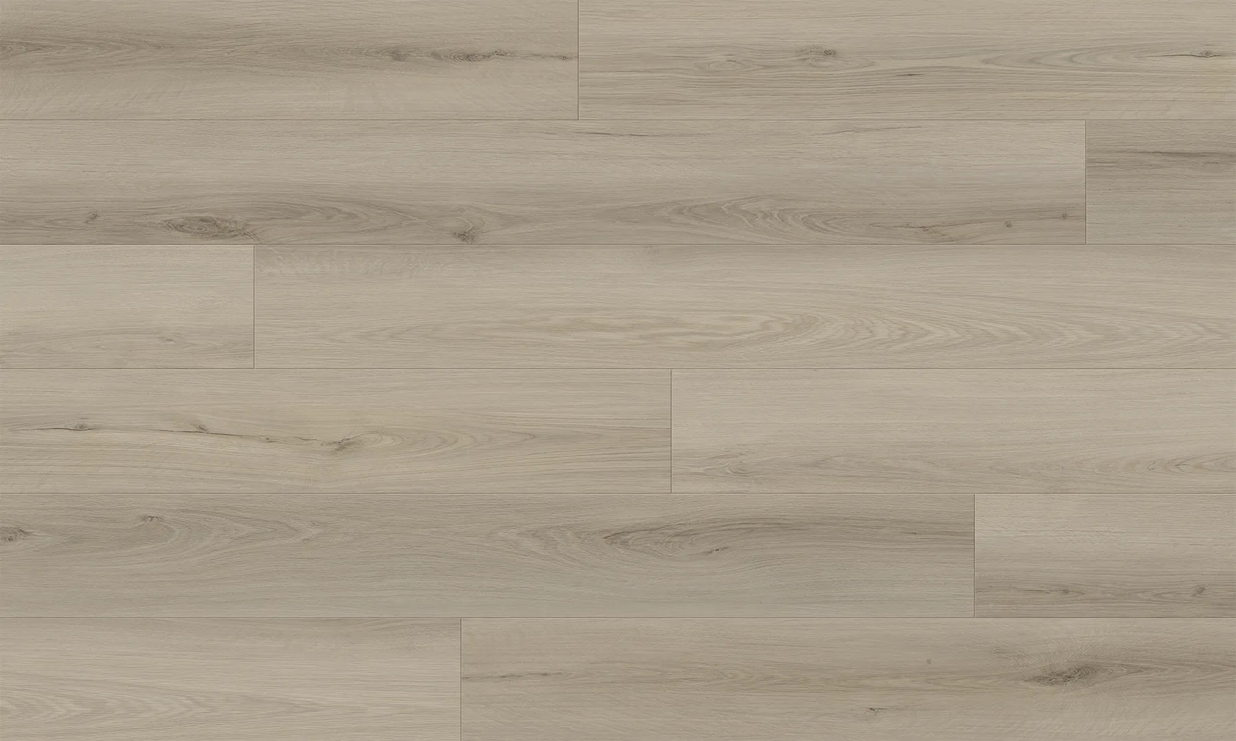 Ash Grey