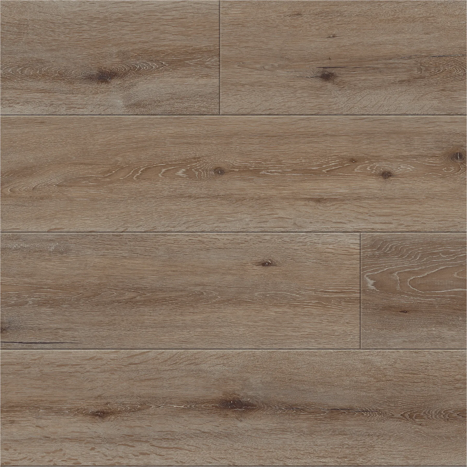 Bayfront Oak