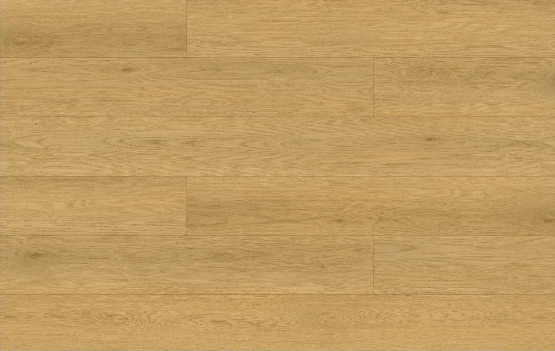 Clam Shell Oak