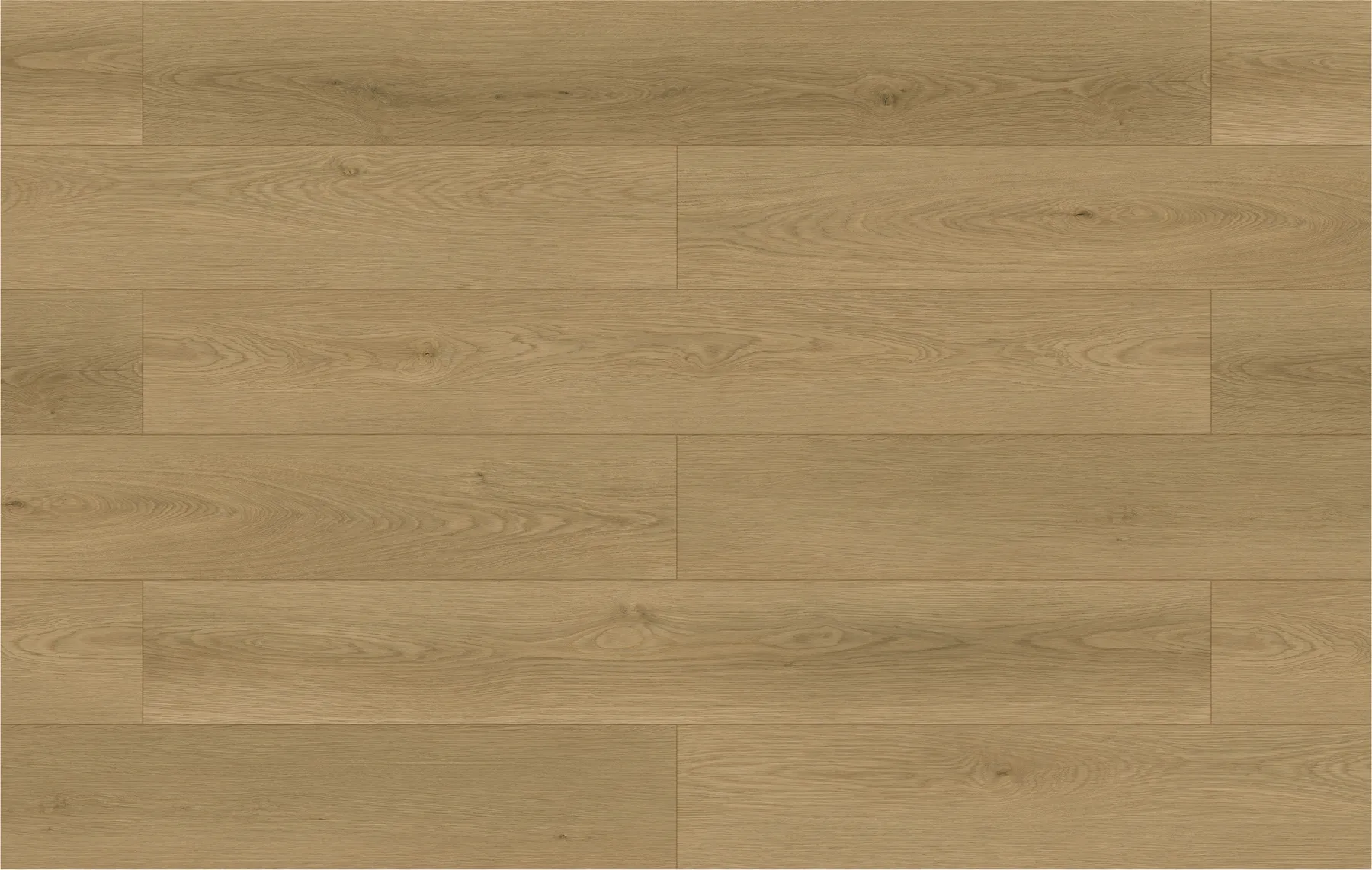Oyster Oak