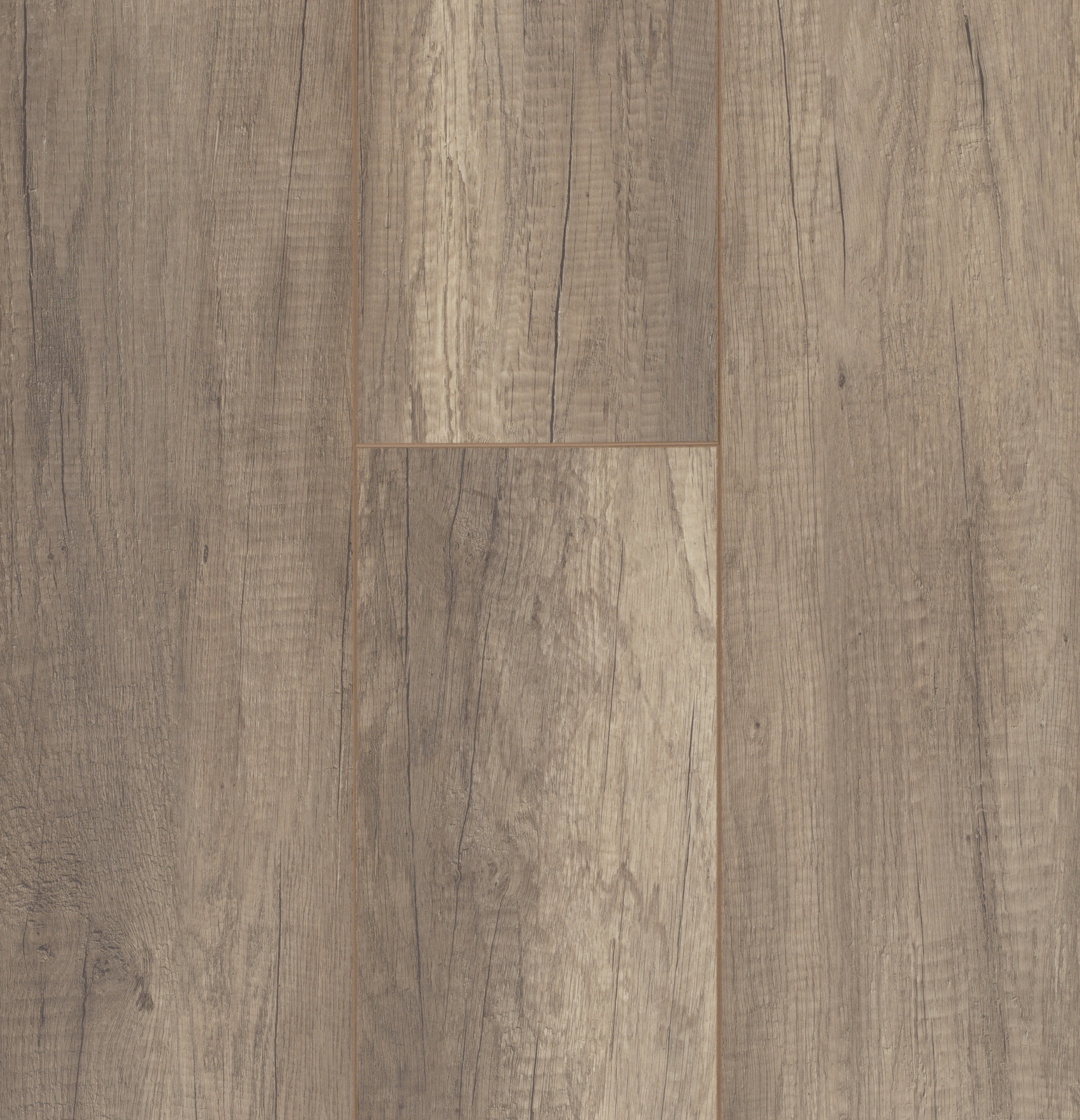 Alaska Oak