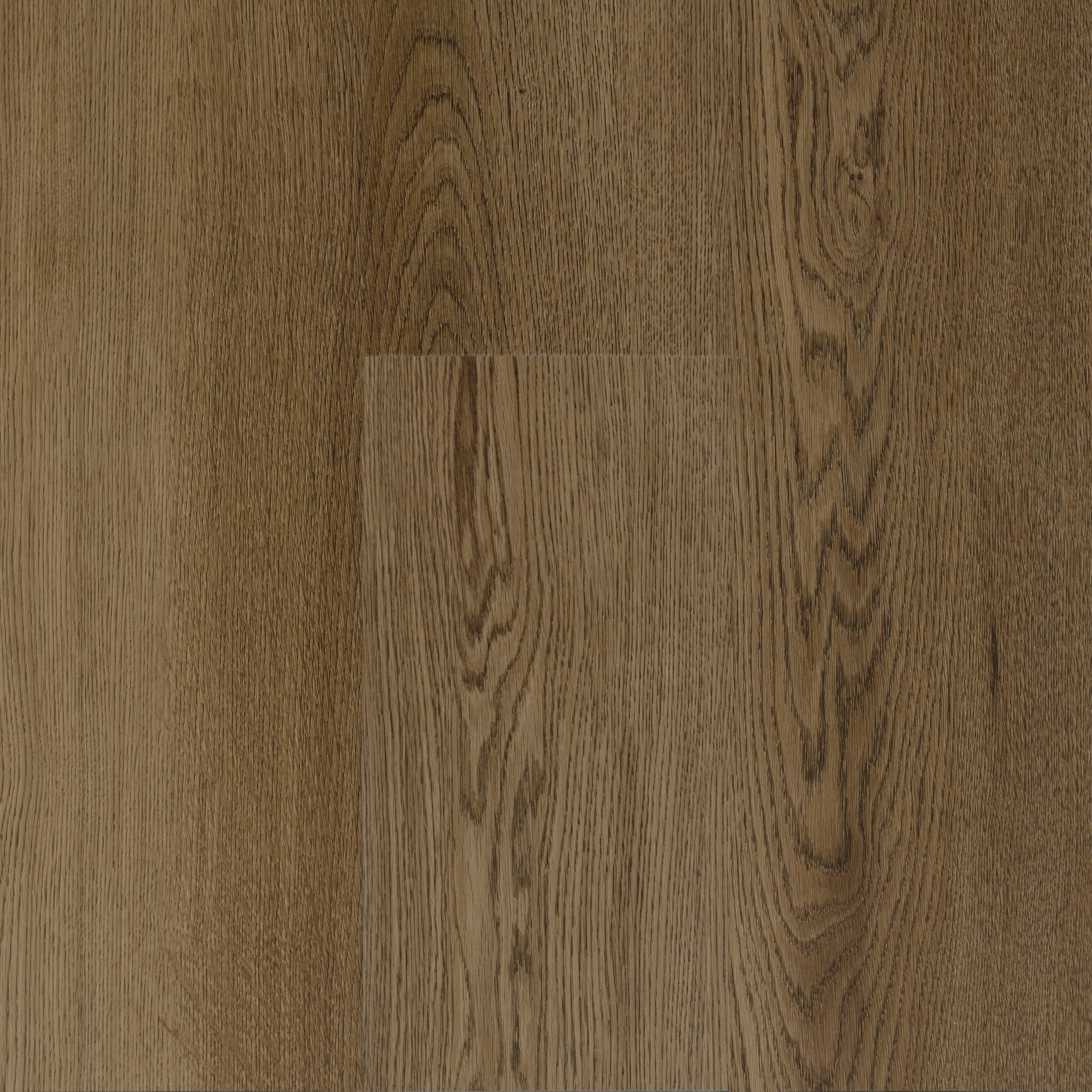 Luzea 5825