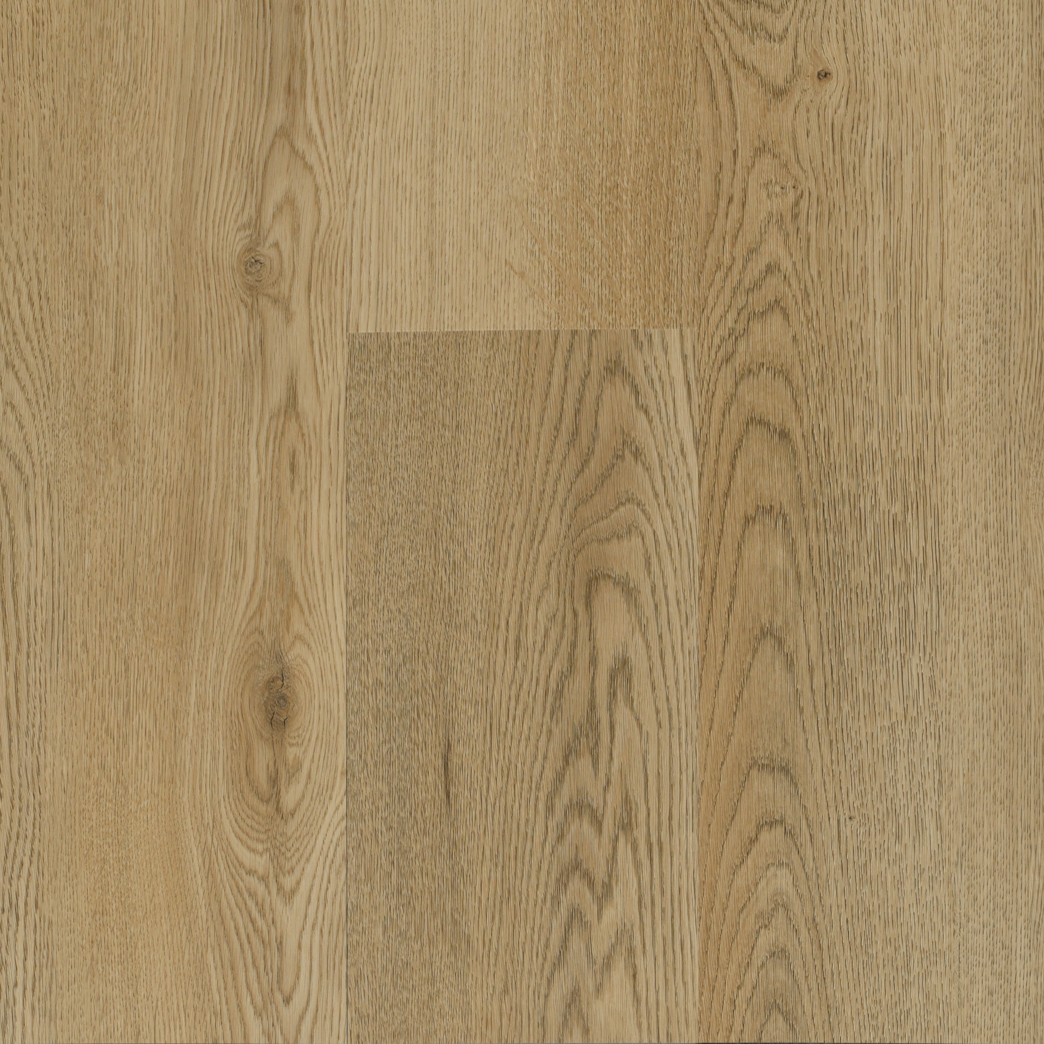 Bosque 5811