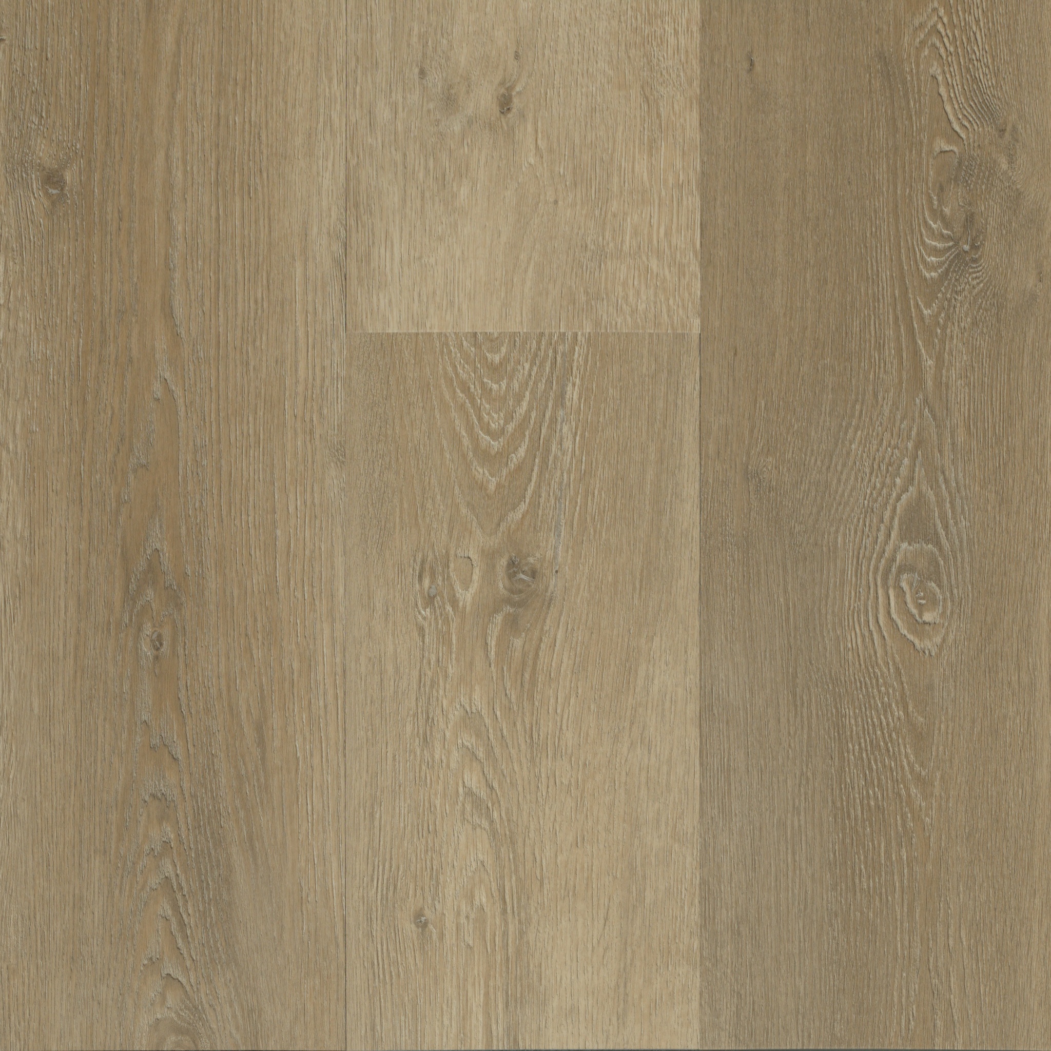 Canopy 5816