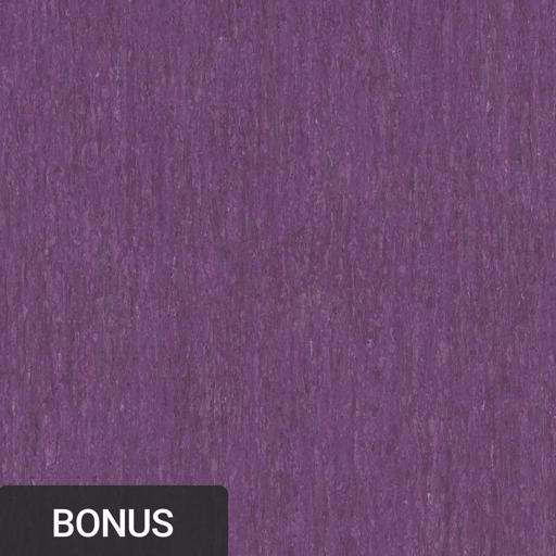 Lilac 0256