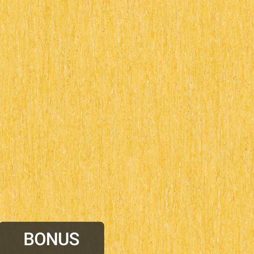 Yellow Mustard 0824