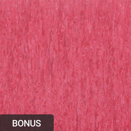 Pink Blossom 0991