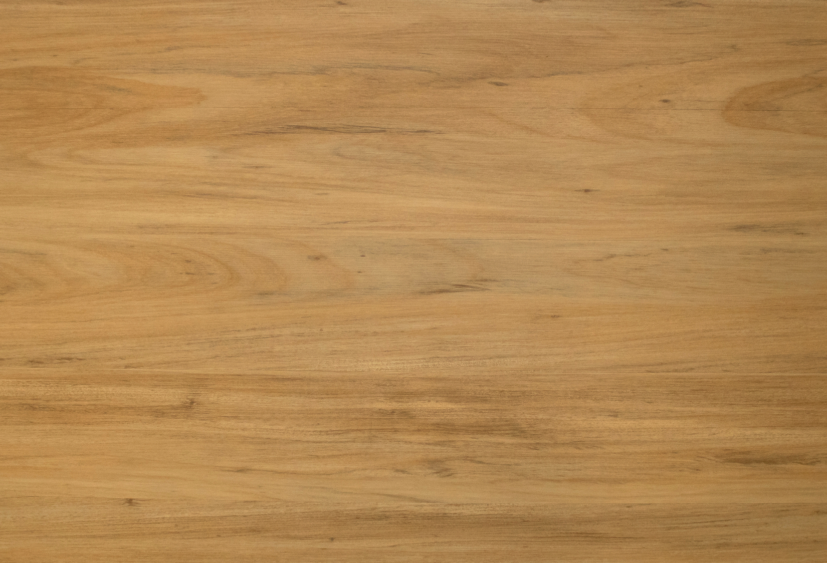 Acacia DW3230