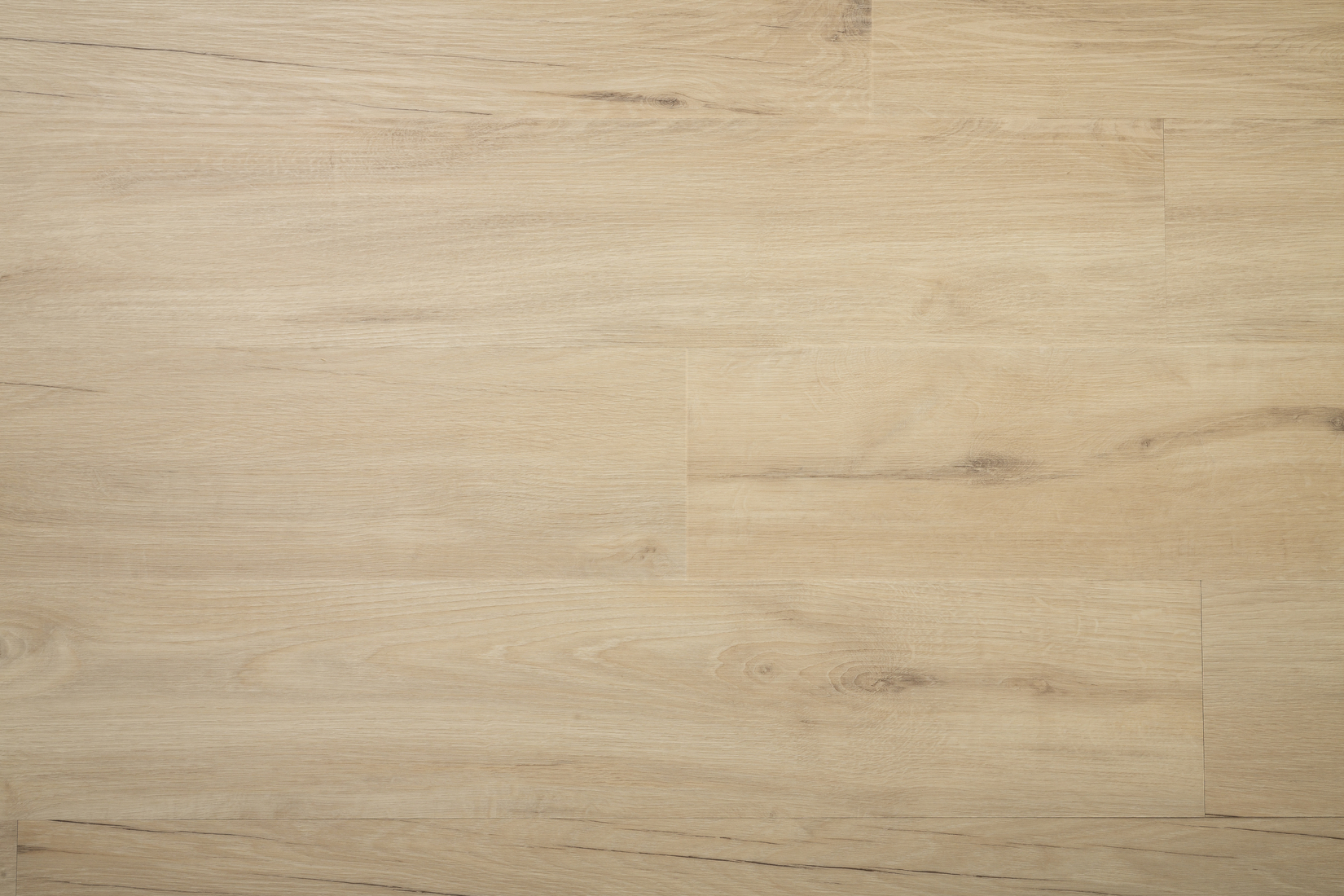 Northern Oak