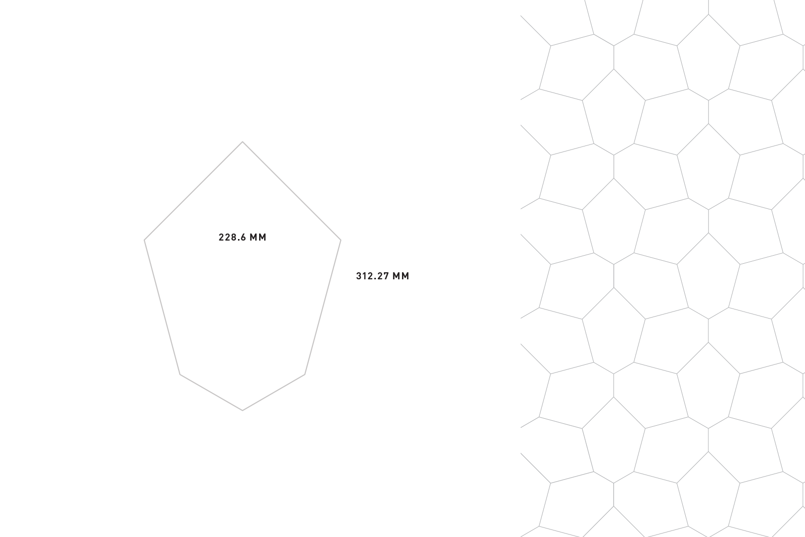Divine TRANSCEND - POLYGON