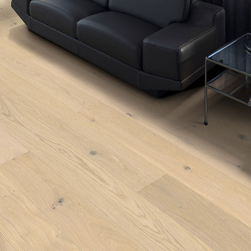 Divine HARO® 2500 Series - Light White - Oak