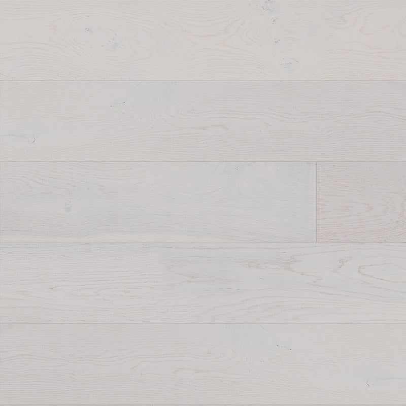 Divine Cosmopolitan - Icicle - European Oak