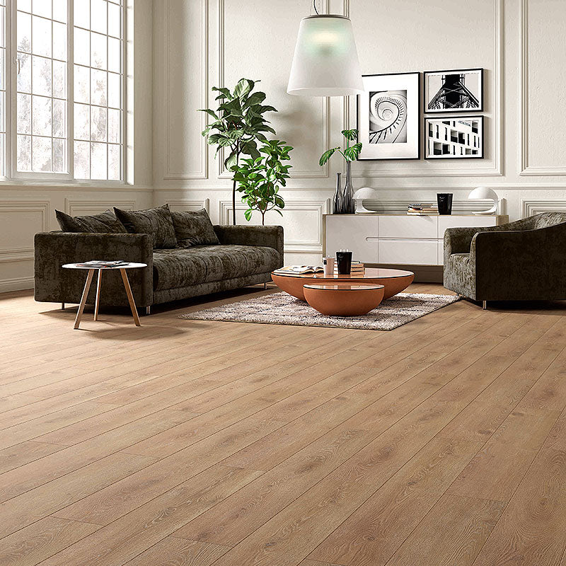 Divine Maestro - Pasticcio - Oak