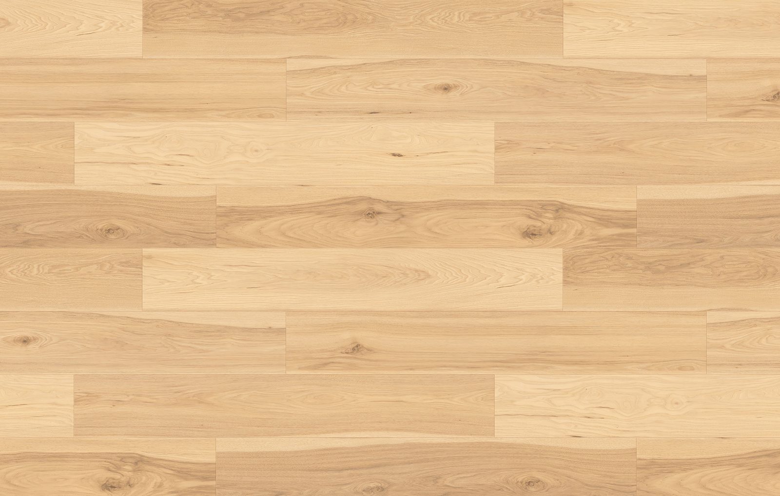 Golden Hickory