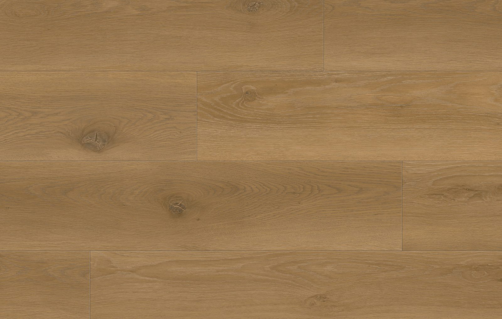 Gold Timber