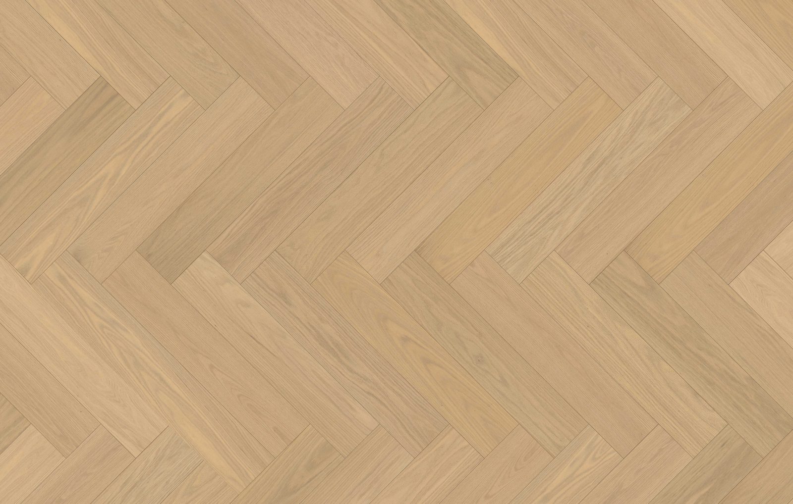 Opulent Oak