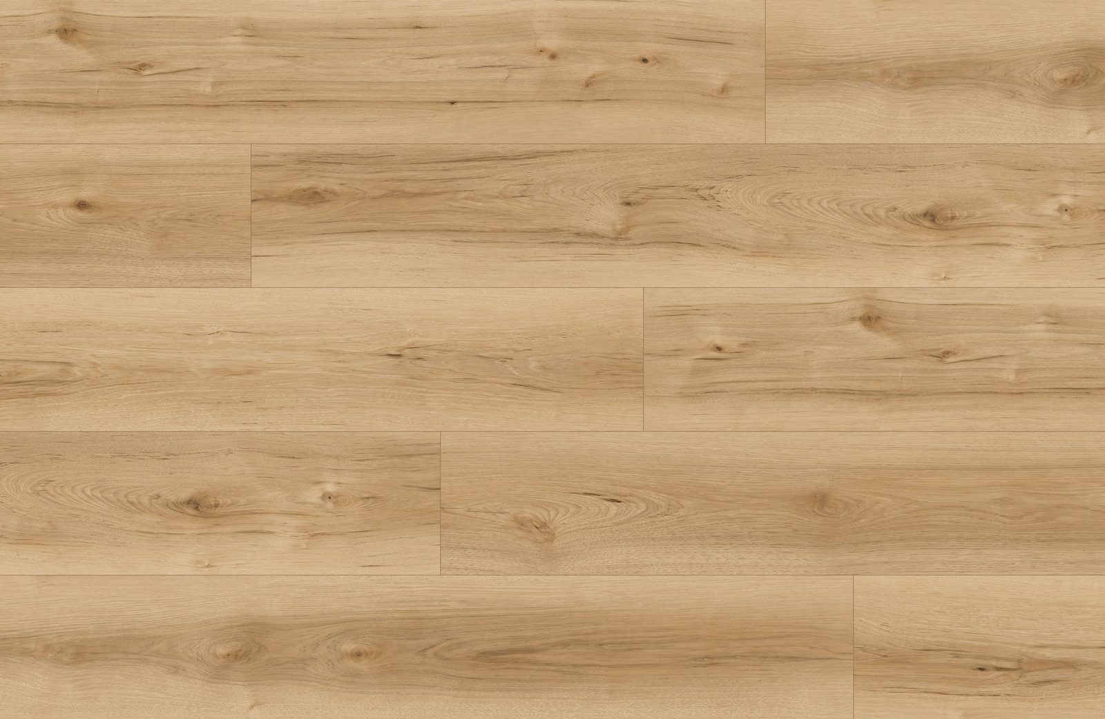 Tempest Hickory