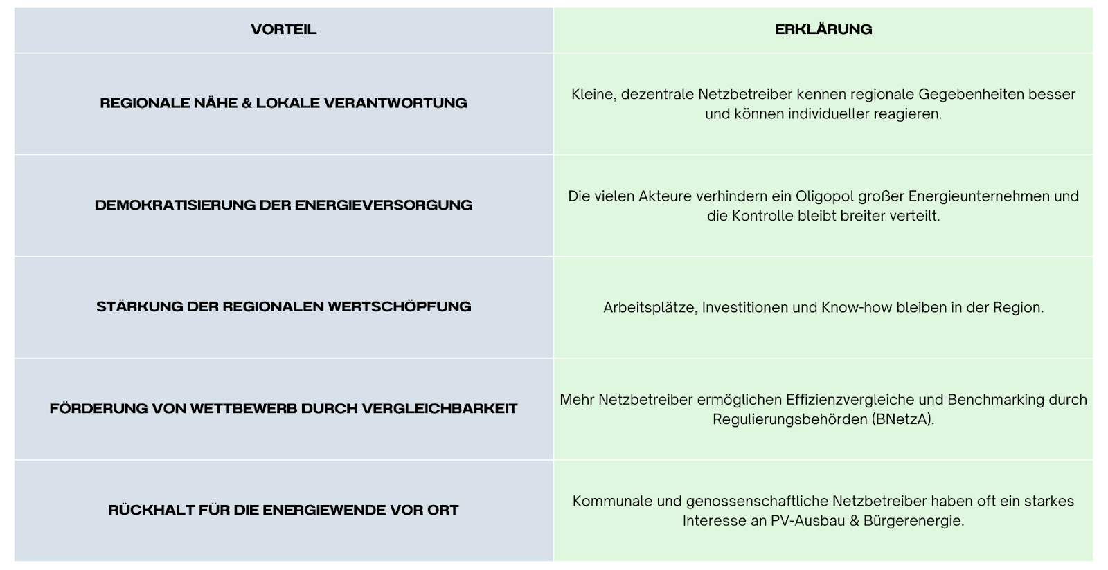 Vorteile der Netzbetreiberstruktur in Deutschland