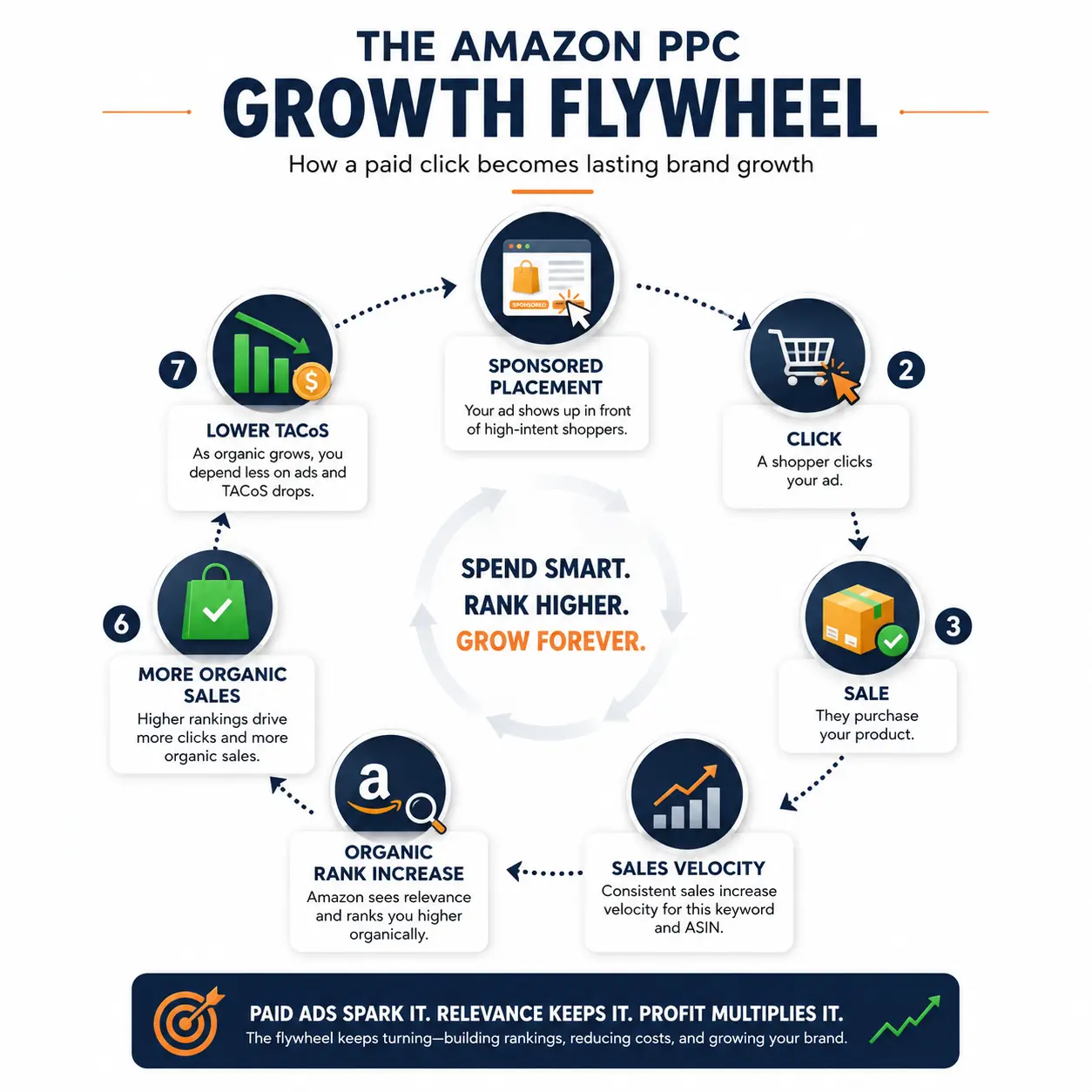 Circular Amazon PPC growth flywheel infographic showing the journey from sponsored placement to click, sale, sales velocity, organic rank increase, more organic sales, and lower TACoS, illustrating how paid advertising contributes to long-term brand growth on Amazon.