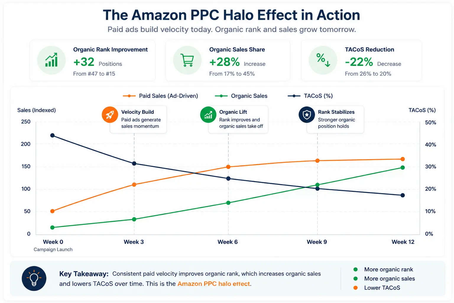 Multi-line chart showing paid sales stabilizing while organic sales increase over twelve weeks, illustrating the Amazon PPC halo effect for a beauty brand.