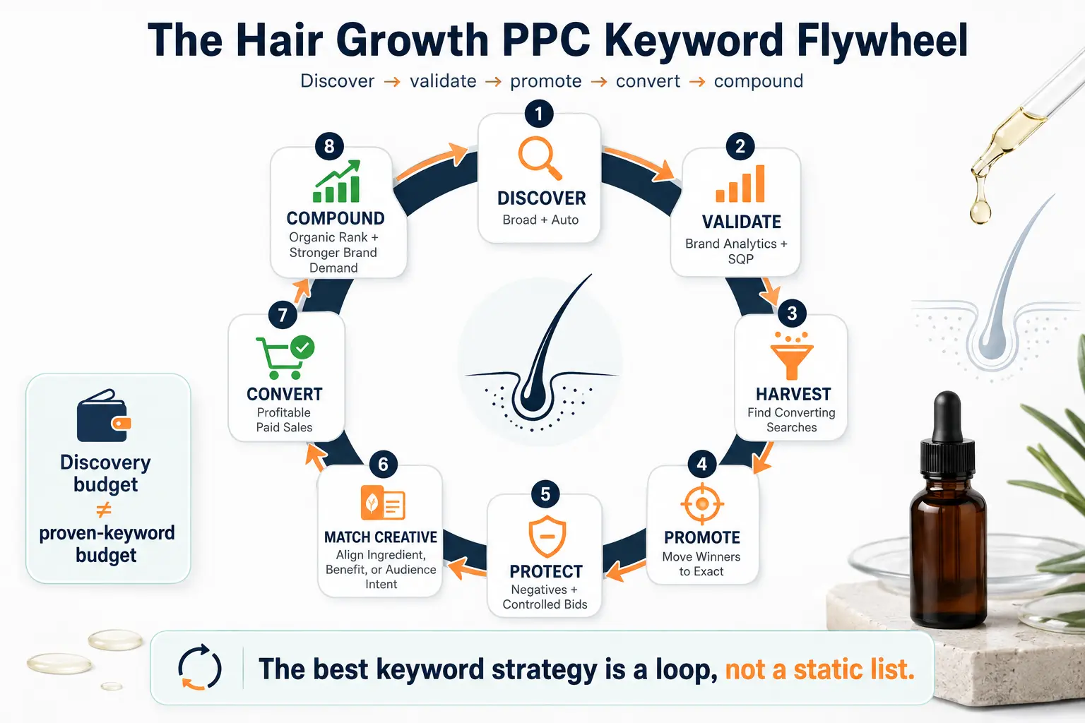 Amazon PPC keyword flywheel showing broad and auto discovery, Brand Analytics and Search Query Performance, exact-match promotion, negative keywords, matching creative, paid conversions, and organic rank growth.