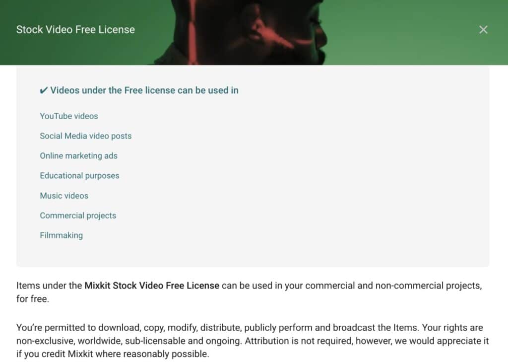Before using a stock video on your own TikTok ads, first check the license rights on MixKit. 