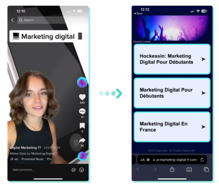 What is TikTok to search example