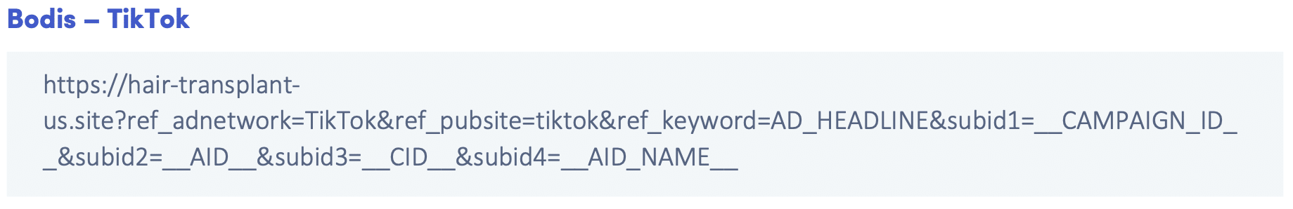 Social to Search Arbitrage Campaign Setup ads.com bodis tiktok