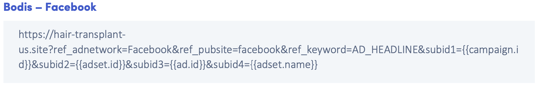 Social to Search Arbitrage Campaign Setup ads.com bodis facebook
