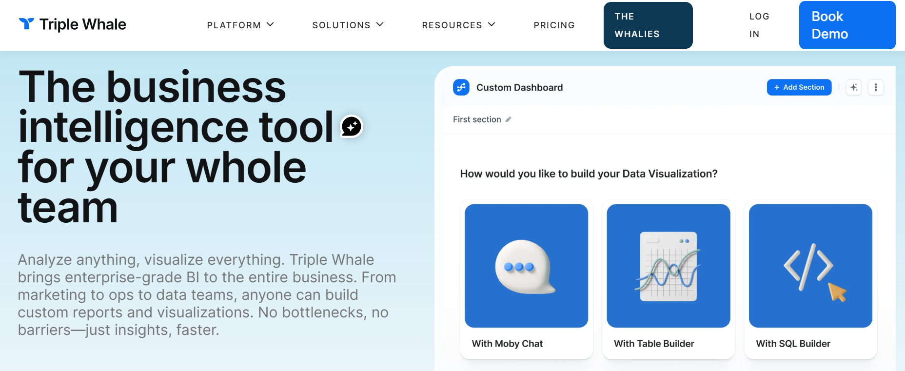 Triple Whale data connection screen showing Meta, Google Ads, and Google Sheets integrations - Facebook Ads reporting tool