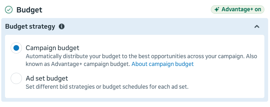 Facebook campaign budget optimization - CBO vs ABO budget strategy settings in Meta Ads Manager