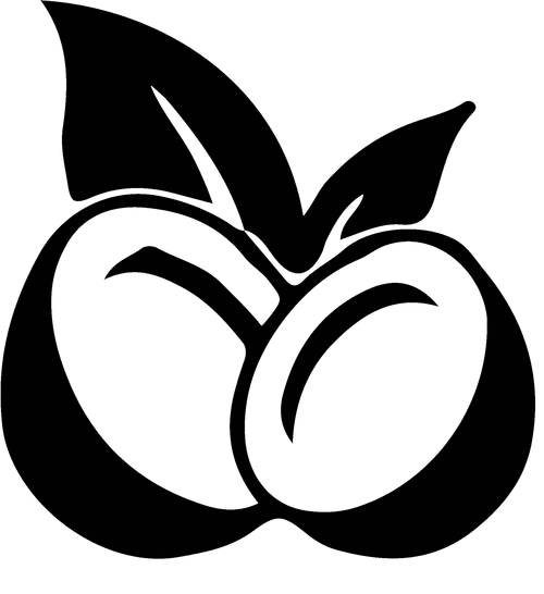 Coco AI