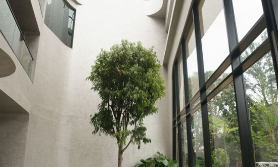 Milestone Update one