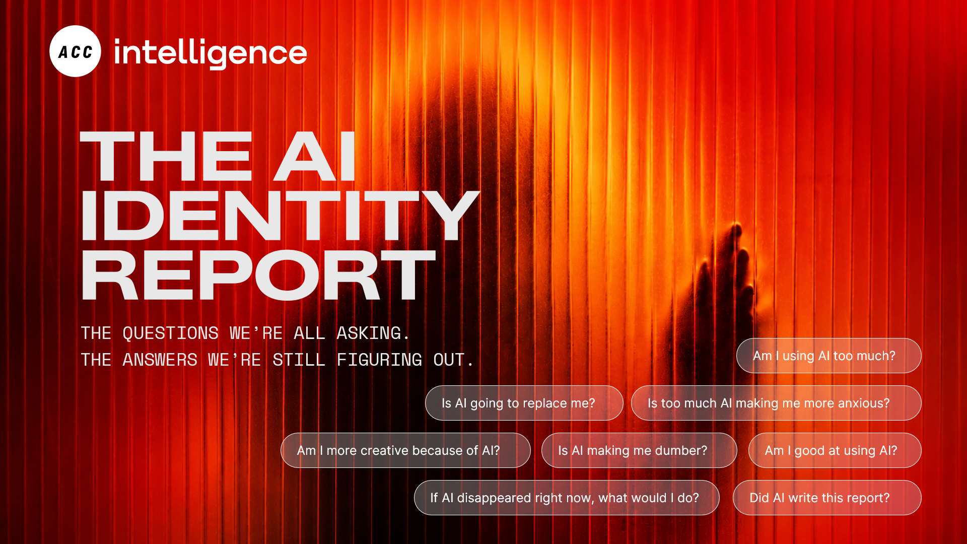 THE AI IDENTITY REPORT