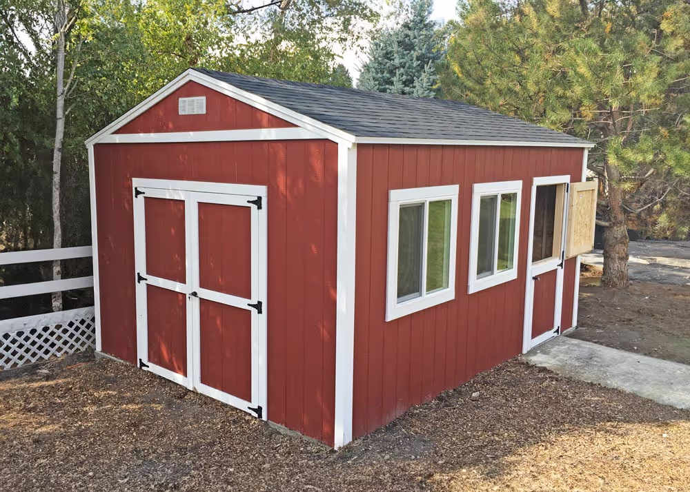 A 12' x 16' Tall Apex with dutch door and more