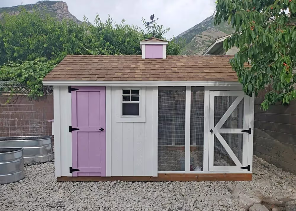 A white and pink 6 foot by 12 foot Coop De'Ville chicken coop