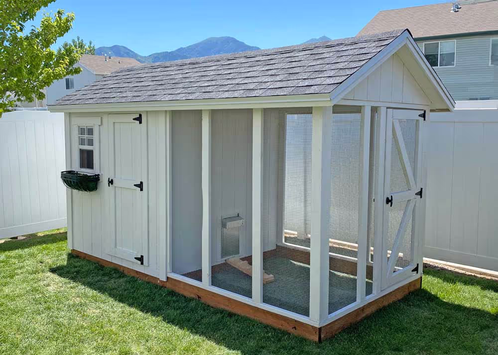 An all white 6 foot by 12 foot coop De'Ville chicken coop with an automatic chicken door