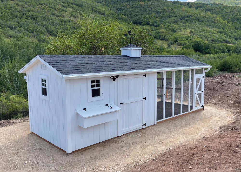 A custom 8 foot by 20 foot chicken coop with run and cupola