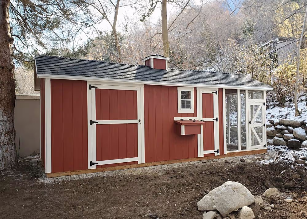A custom shed/chicken coop combo with run and cupola