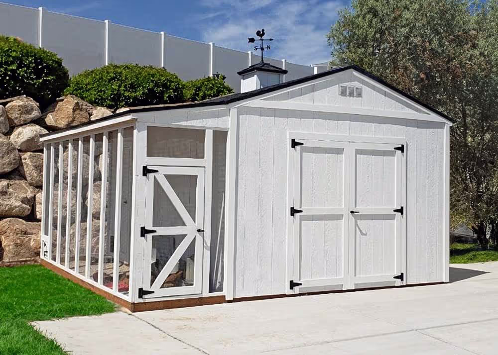 A 10 foot by 20' tall apex shed and chicken coop with a lean-to style run on the side