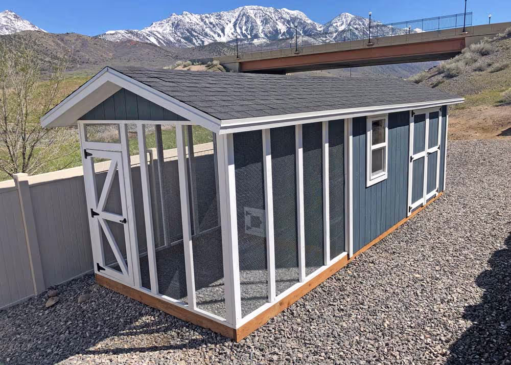 A custom Shed/chicken coop combination with a run and an interior divider wall