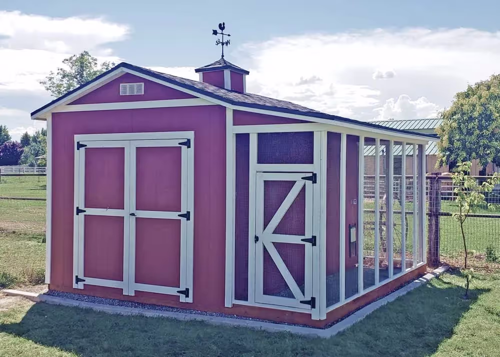A custom 10 foot by 14 foot tall apex shed and chicken coop combination with a lean-to style run on the side
