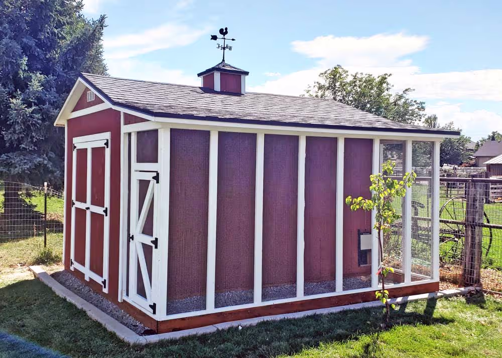 A custom red and white 10 foot by 14 foot tall apex shed and chicken coop combination with a lean-to style run on the side