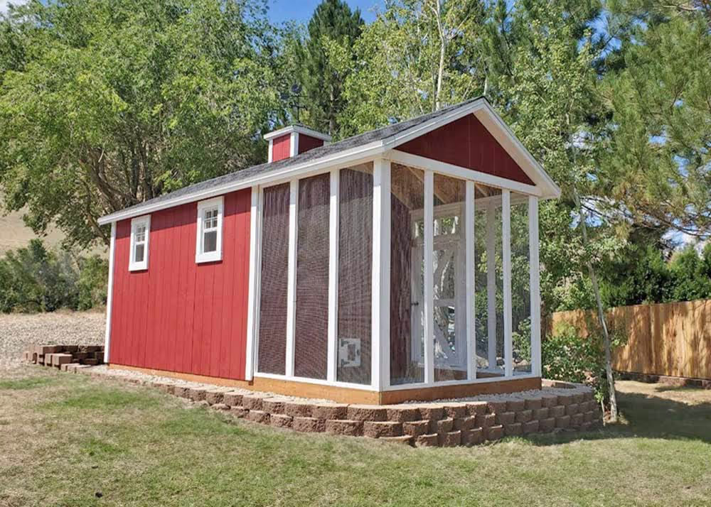 A custom shed turned chicken coop with a run