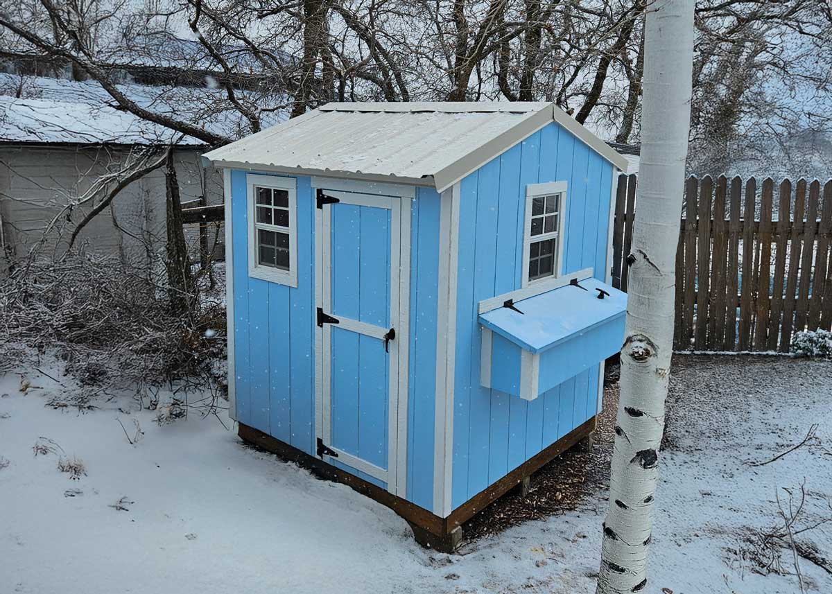 6x6 Value Apex Chicken Coop