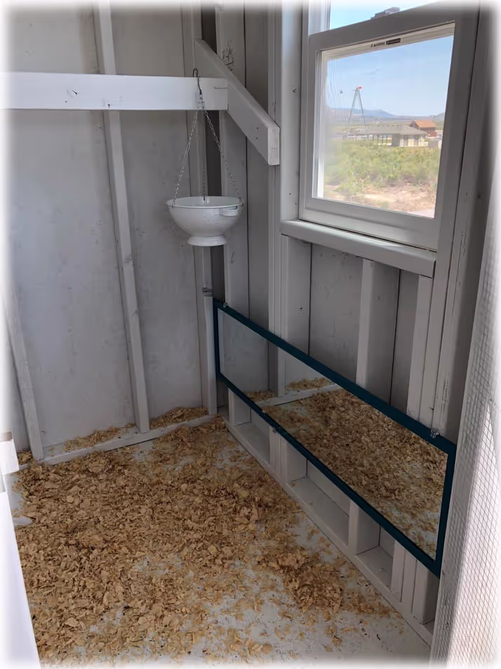 The interior of a custom chicken coop