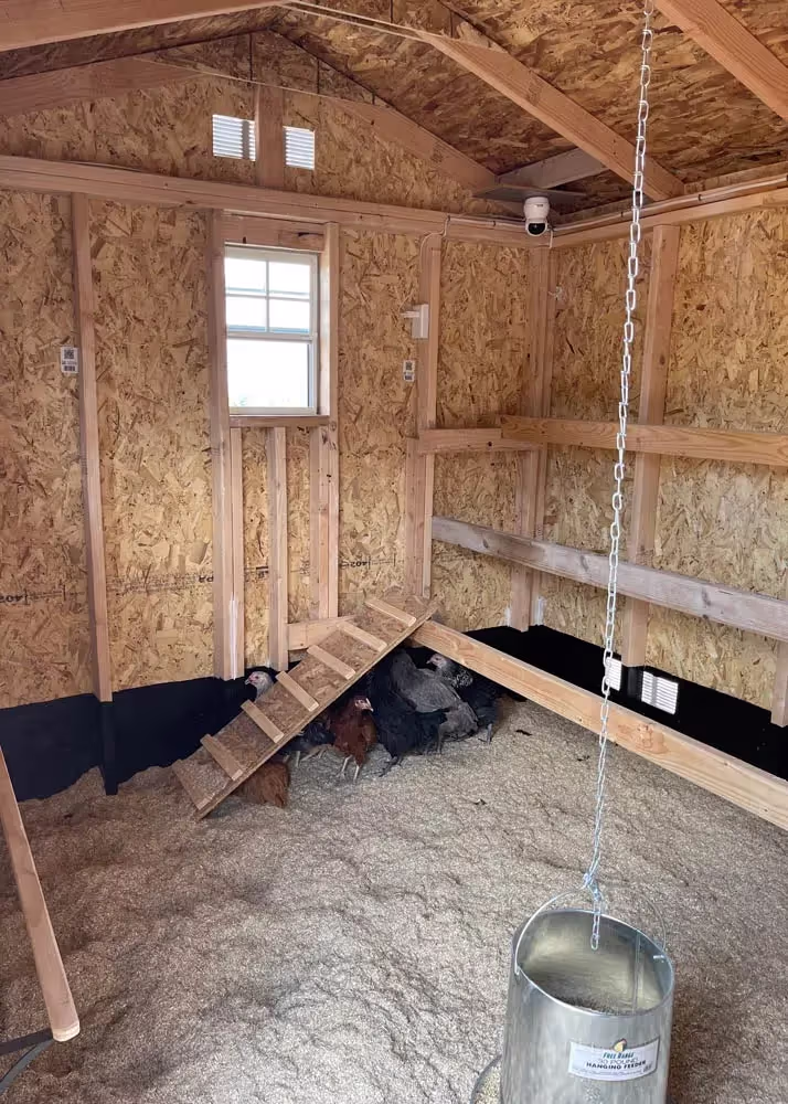 The interior of a custom chicken coop showing the deep litter meathod
