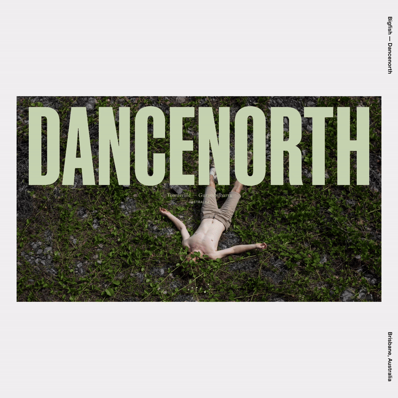 Bigfish — Dancenorth